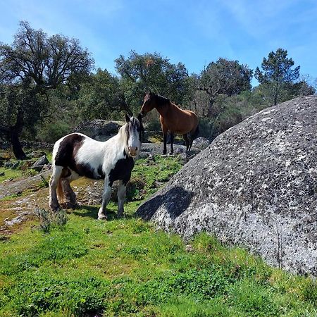 Magic Nature Lodge Marvão Dış mekan fotoğraf