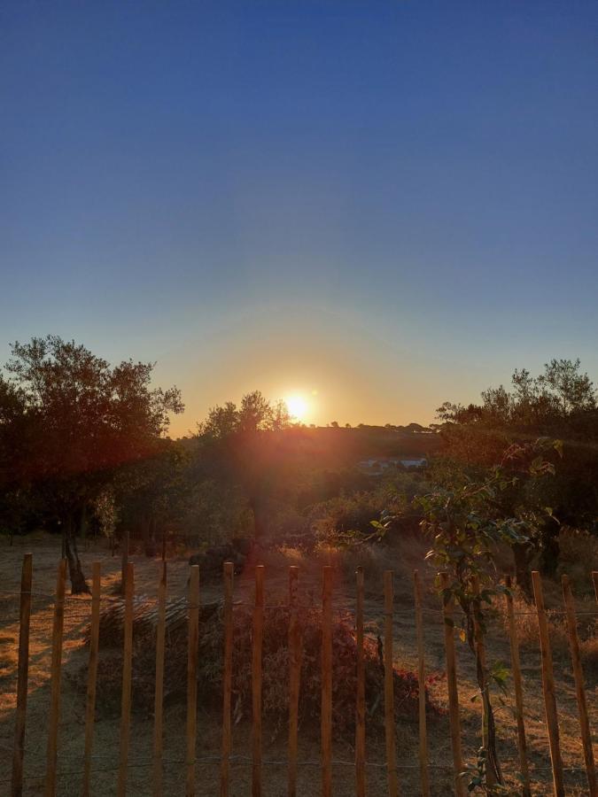 Magic Nature Lodge Marvão Dış mekan fotoğraf