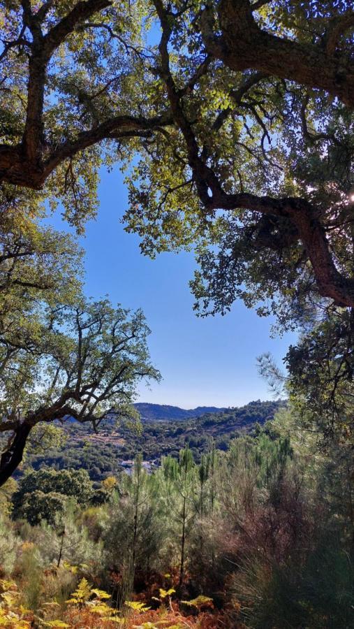 Magic Nature Lodge Marvão Dış mekan fotoğraf