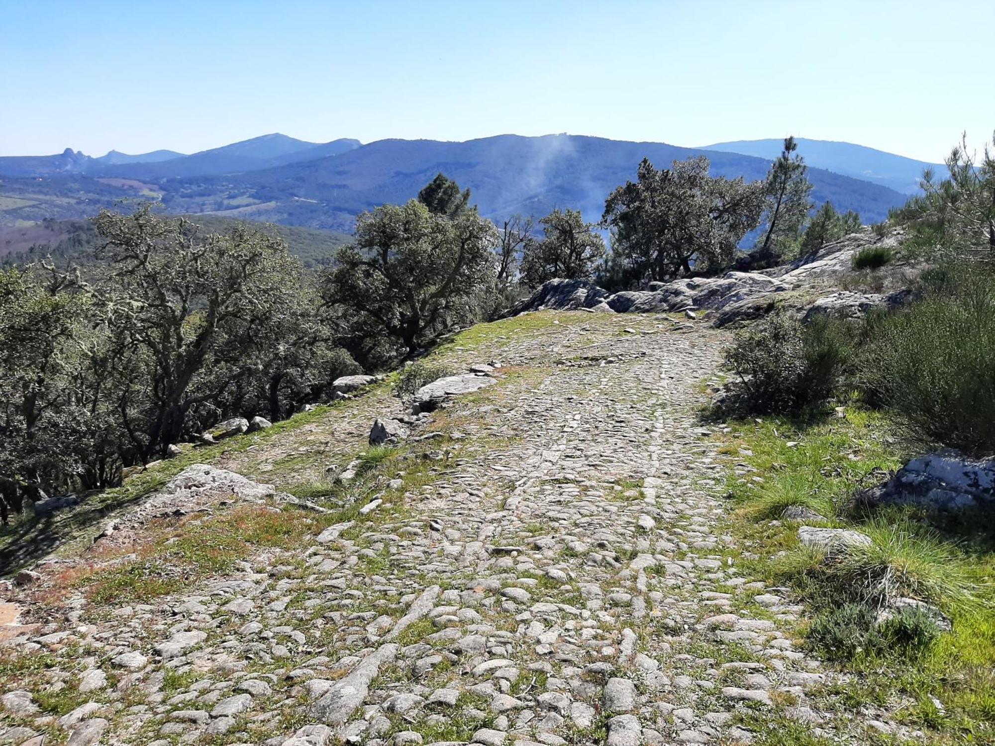 Magic Nature Lodge Marvão Dış mekan fotoğraf